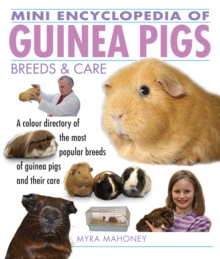 Mini Encyclopedia of Guinea Pigs Breeds and Care
