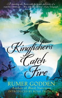 Kingfishers Catch Fire : A Virago Modern Classic, Paperback Book Kingfishers Catch Fire : A Virago Modern Classic, Paperback Book