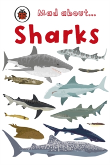 Mad About Sharks, Hardback Book Mad About Sharks, Hardback Book