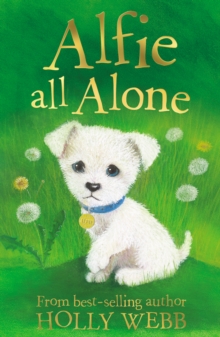 Alfie All Alone, Paperback Book Alfie All Alone, Paperback Book
