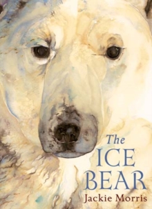 The Ice Bear Mini Edition, Hardback Book The Ice Bear Mini Edition, Hardback Book