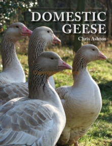 Domestic Geese, Paperback Book Domestic Geese, Paperback Book