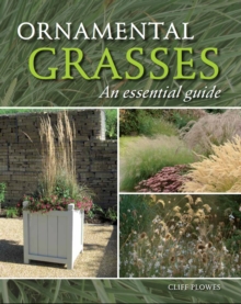 Ornamental Grasses : An Essential Guide, Hardback Book Ornamental Grasses : An Essential Guide, Hardback Book