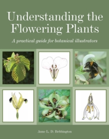 Understanding the Flowering Plants : A Practical Guide for Botanical Illustrators, Paperback Book Understanding the Flowering Plants : A Practical Guide for Botanical Illustrators, Paperback Book