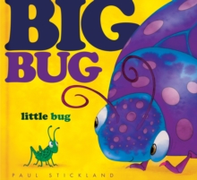 Big Bug, Little Bug, Hardback Book Big Bug, Little Bug, Hardback Book