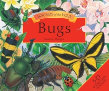 Sounds of the Wild Bugs, Hardback Book Sounds of the Wild Bugs, Hardback Book