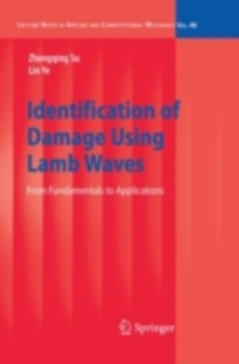 Identification of Damage Using Lamb Waves : From Fundamentals to Applications