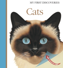 Cats, Hardback Book Cats, Hardback Book