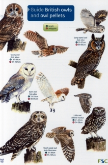 Guide to British Owls and Owl Pellets, Other printed item Book Guide to British Owls and Owl Pellets, Other printed item Book