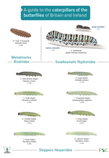 A Guide to Caterpillars of the Butterflies of Britain and Ireland, Book A Guide to Caterpillars of the Butterflies of Britain and Ireland, Book