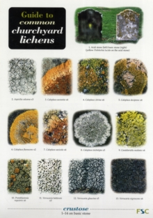 Guide to Common Churchyard Lichens, Other printed item Book Guide to Common Churchyard Lichens, Other printed item Book