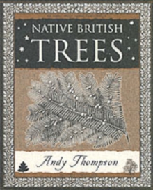 Native British Trees, Paperback / softback Book Native British Trees, Paperback / softback Book