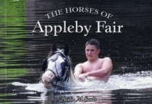 The Horses of Appleby Fair, Paperback Book The Horses of Appleby Fair, Paperback Book