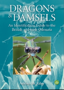 Dragons and Damsels : An identification guide to the British and Irish Odonata, Paperback / softback Book Dragons and Damsels : An identification guide to the British and Irish Odonata, Paperback / softback Book
