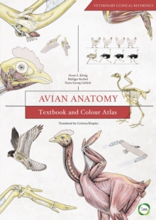 Avian Anatomy 2nd Edition: Textbook and Colour Atlas