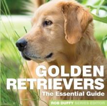 Golden Retrievers : The Essential Guide, Paperback / softback Book Golden Retrievers : The Essential Guide, Paperback / softback Book