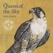 Jackie Morris Queen of the Sky, Postcard book or pack Book Jackie Morris Queen of the Sky, Postcard book or pack Book