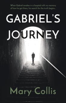 Gabriel's Journey, Paperback / softback Book Gabriel's Journey, Paperback / softback Book