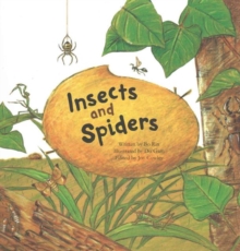 Insects and Spiders : Insects and Spiders