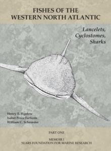 Lancelets, Cyclostomes, Sharks : Part 1