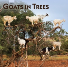 Goats In Trees 2021 Square Calendar, Calendar Book Goats In Trees 2021 Square Calendar, Calendar Book