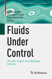 Fluids Under Control : The 2021 Prague-Sum Workshop Lectures