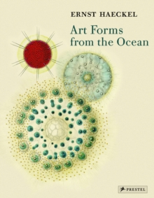 Art Forms from the Ocean: the Radiolarian Prints of Ernst Haeckel, Paperback / softback Book Art Forms from the Ocean: the Radiolarian Prints of Ernst Haeckel, Paperback / softback Book