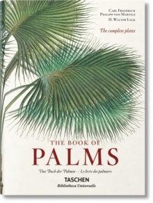 Martius. The Book of Palms, Hardback Book Martius. The Book of Palms, Hardback Book