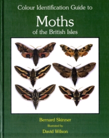 Colour Identification Guide to the Moths of the British Isles : Macrolepidoptera. 3rd revised edition, Hardback Book Colour Identification Guide to the Moths of the British Isles : Macrolepidoptera. 3rd revised edition, Hardback Book