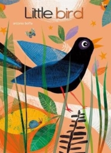 Little Bird, Board book Book Little Bird, Board book Book