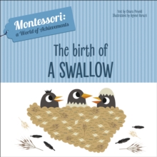 The Birth of a Swallow : Montessori: A World of Achievements