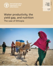 Water productivity, the yield gap, and nutrition : the case of Ethiopia