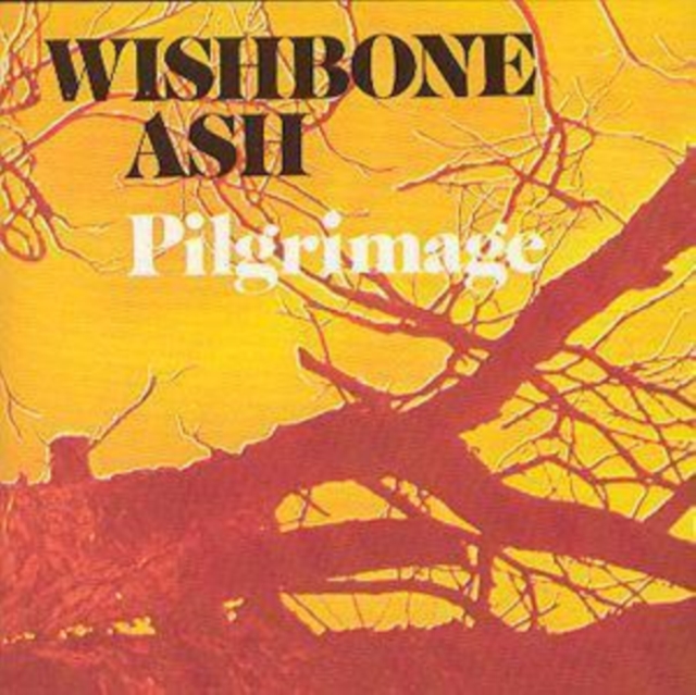 Pilgrimage, CD / Album Cd