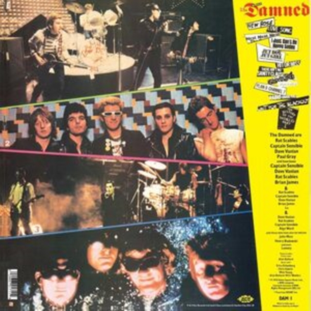 The Best of the Damned, Vinyl / 12" Album Vinyl