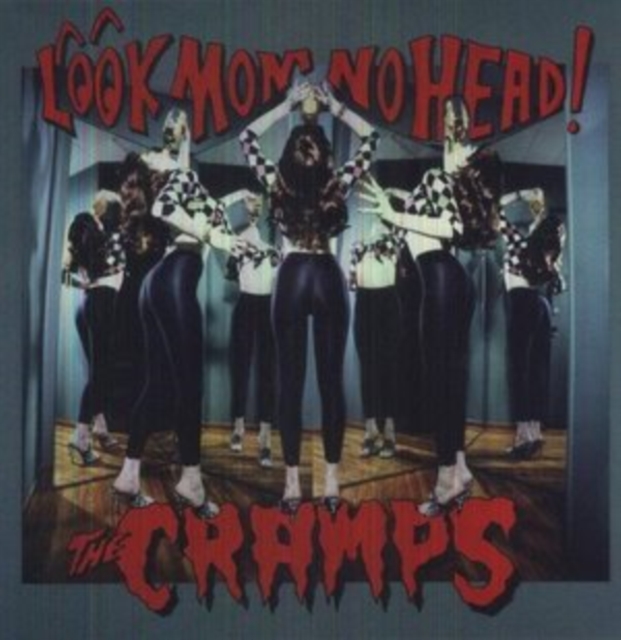 Look Mom No Head!, Vinyl / 12" Album Vinyl