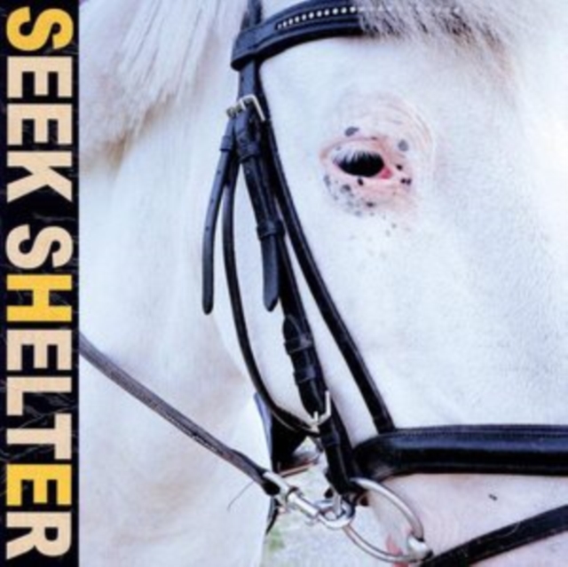 Seek Shelter, CD / Album Cd