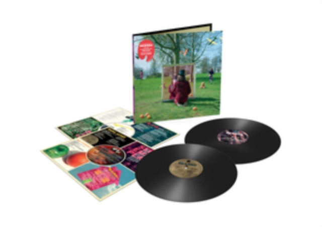 An Introduction to Syd Barrett, Vinyl / 12" Album Vinyl