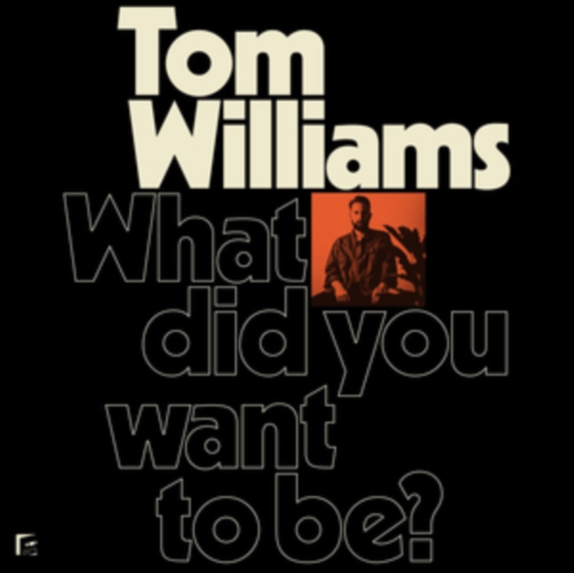 What Did You Want to Be?, Vinyl / 12" Album Vinyl