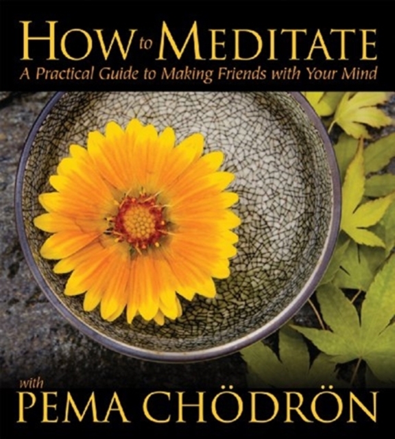 How to Meditate With Pema Chodron, CD / Album Cd