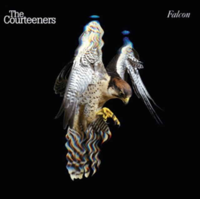Falcon, CD / Album Cd