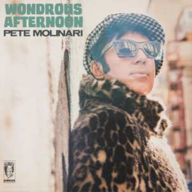 Wondrous Afternoon, Vinyl / 12" Album Vinyl
