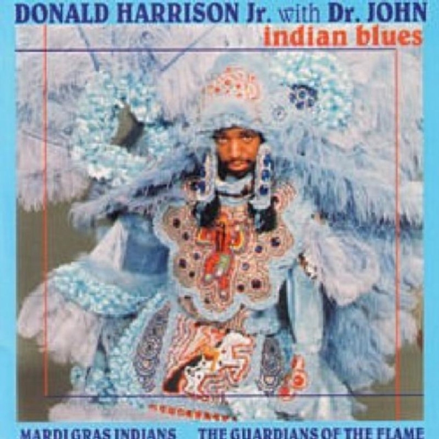 Indian Blues, CD / Album Cd