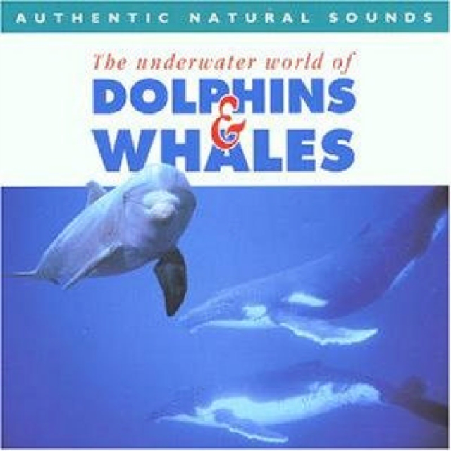 Dolphins and Whales, CD / Album Cd