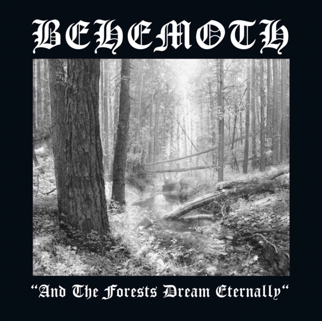 And the Forests Dream Eternally, Vinyl / 12" Album Vinyl