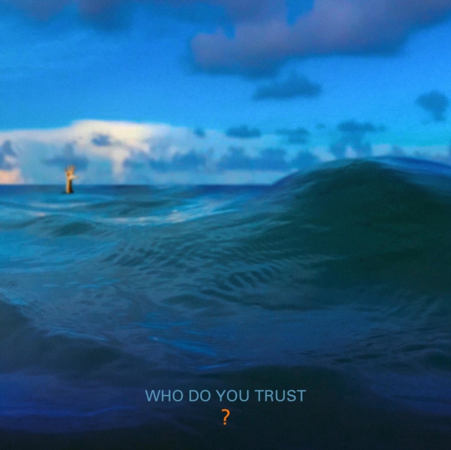 Who Do You Trust?, Vinyl / 12" Album Vinyl