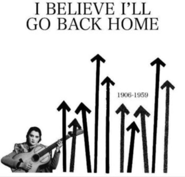 I believe I'll go back home, Vinyl / 12" Album Vinyl
