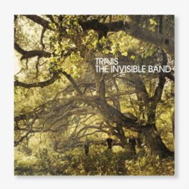 The Invisible Band (20th Anniversary Edition), Vinyl / 12" Album Coloured Vinyl Vinyl