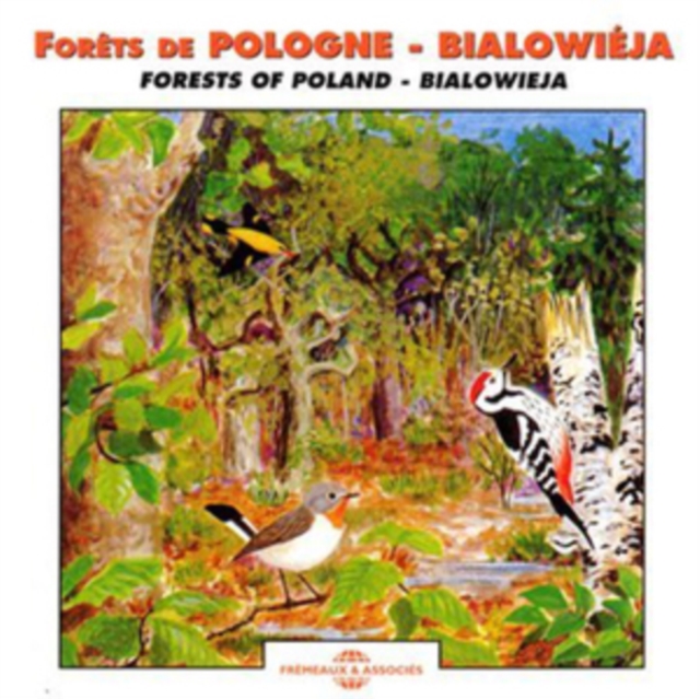 Forets De Pologne - Bialowieja: Forests of Poland - Bialowieja, CD / Album Cd