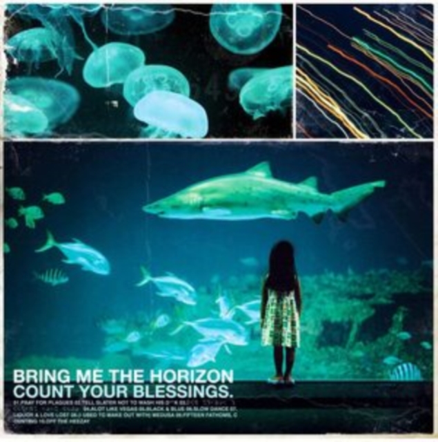 Count Your Blessings, Vinyl / 12" Album Vinyl