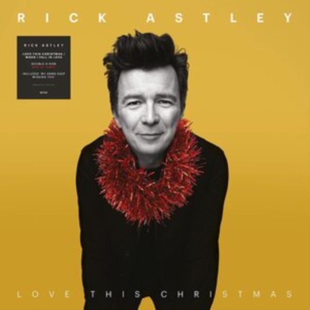 Love This Christmas/When I Fall in Love, Vinyl / 12" Single Vinyl